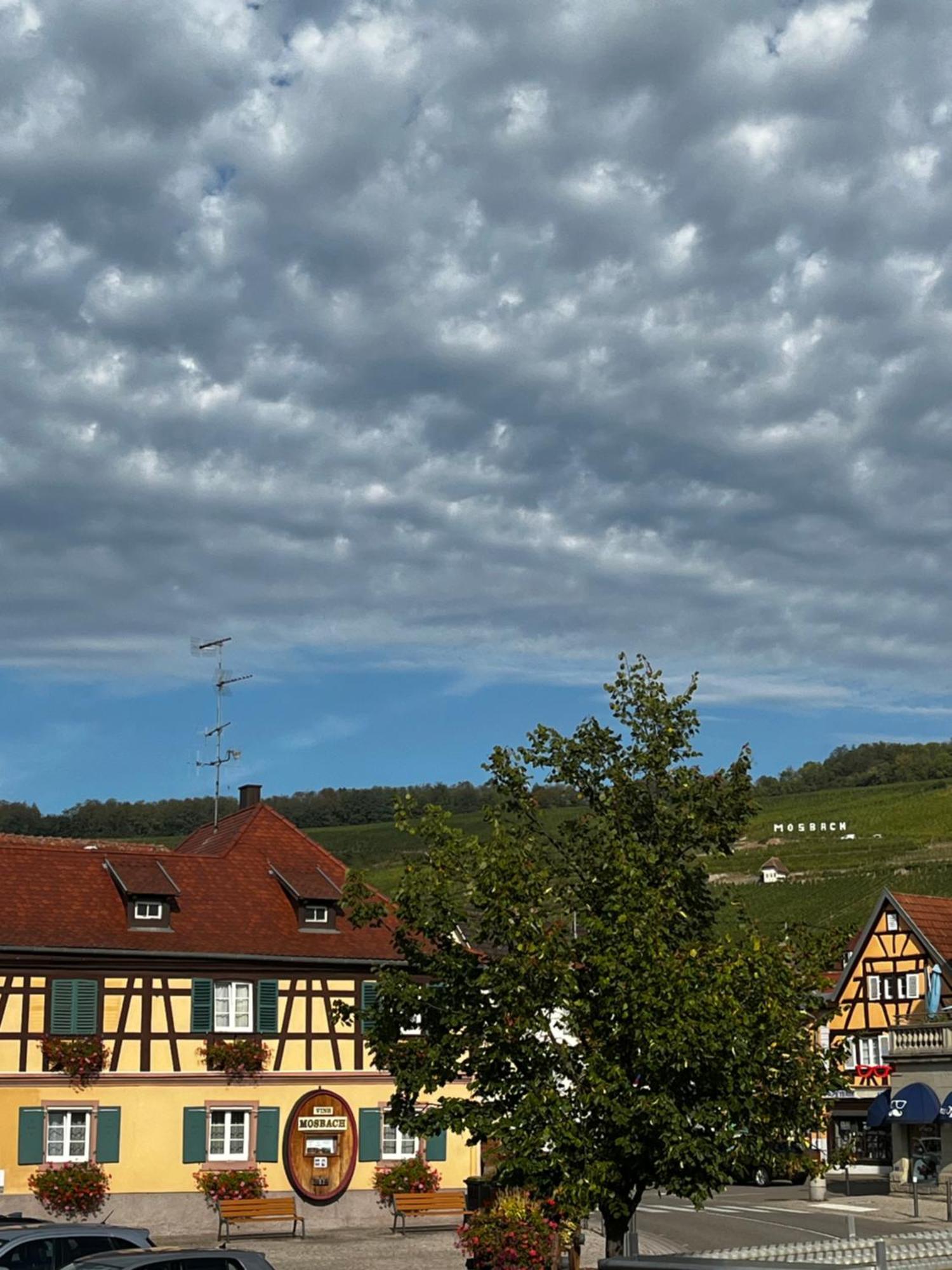 Les Chambres Du Marlenberg Marlenheim Zewnętrze zdjęcie