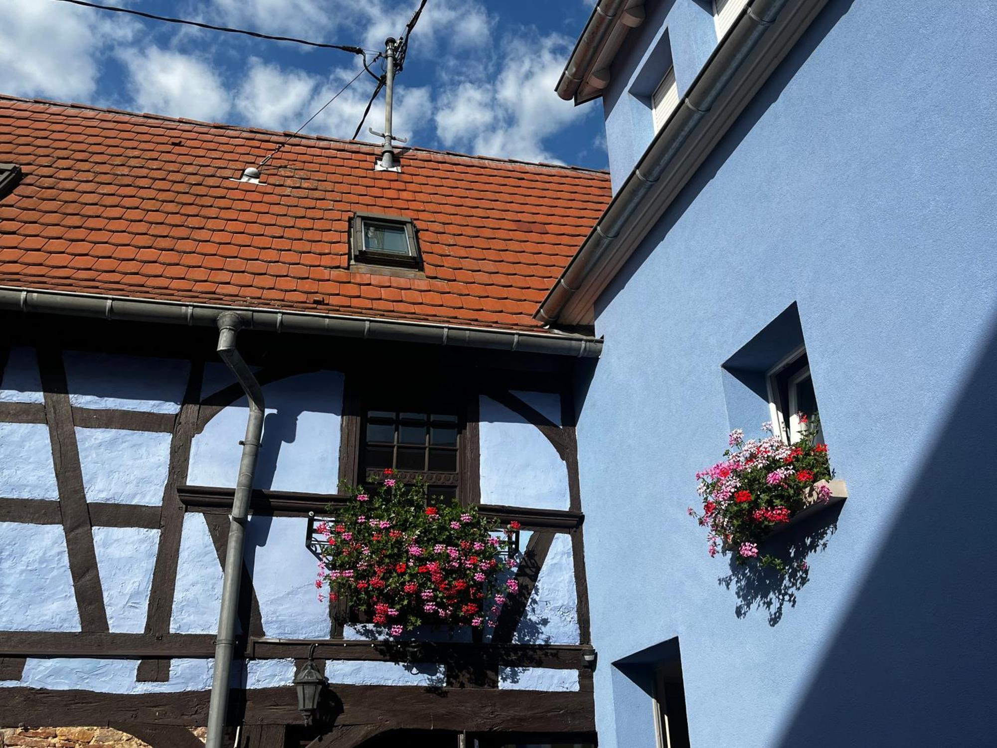 Les Chambres Du Marlenberg Marlenheim Zewnętrze zdjęcie